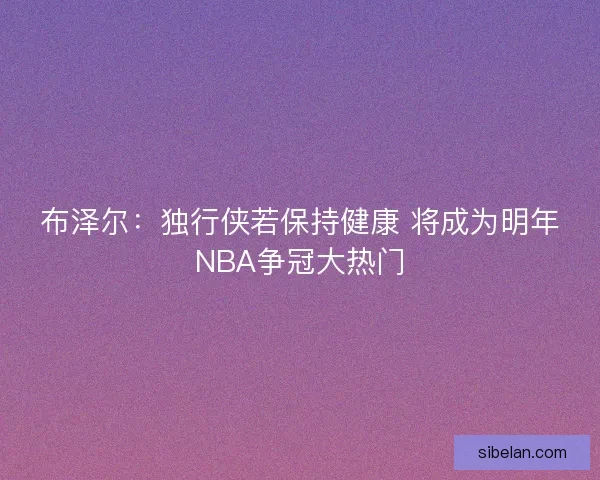 布泽尔：独行侠若保持健康 将成为明年NBA争冠大热门